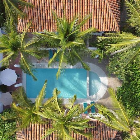 Bungalows Santa Cruz Puerto Escondido  Extérieur photo